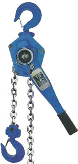 杭州武林飞鸽手扳葫芦